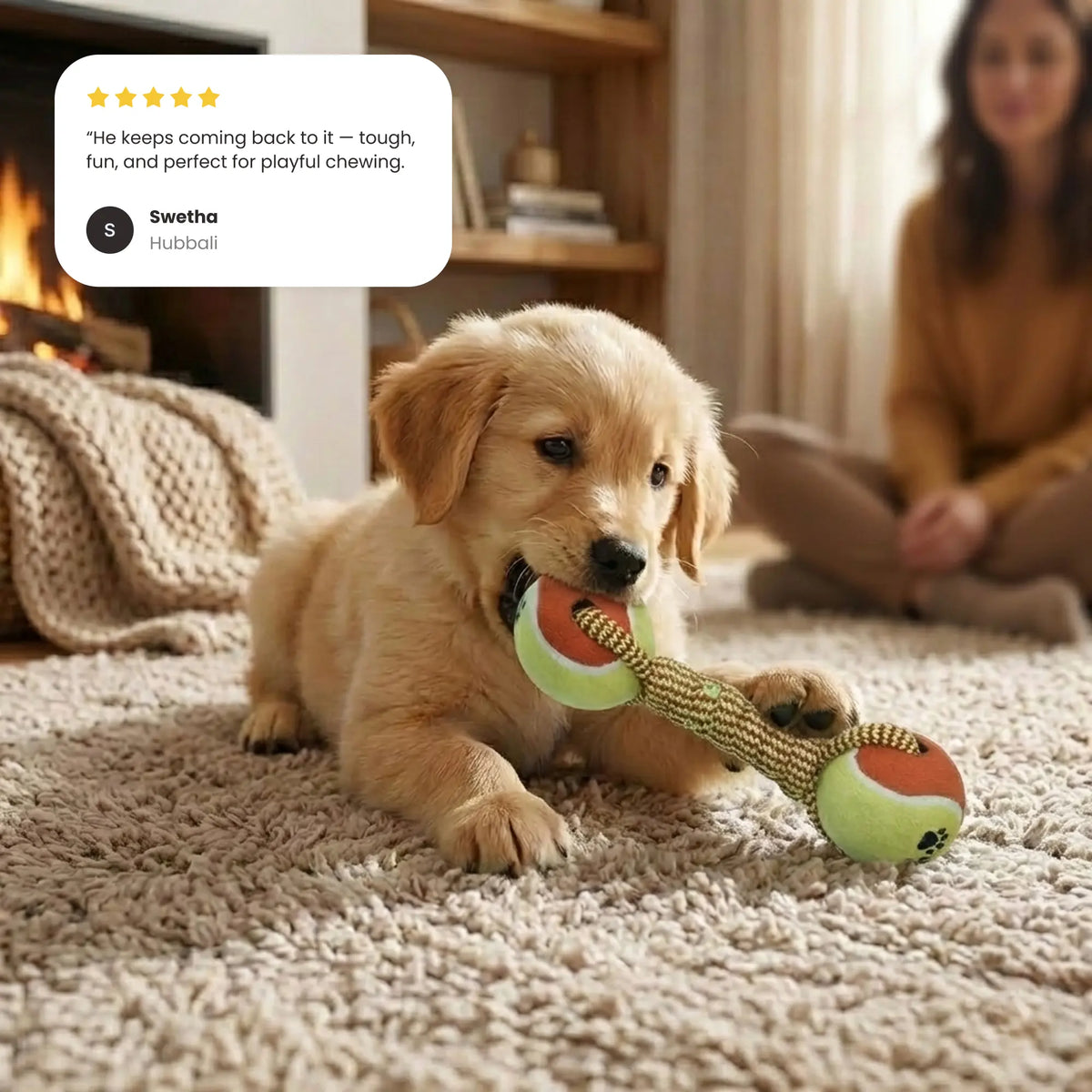 Double Tennis Ball Pet Toy