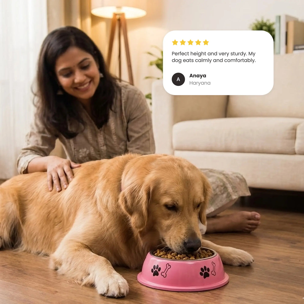 Pet Bowl