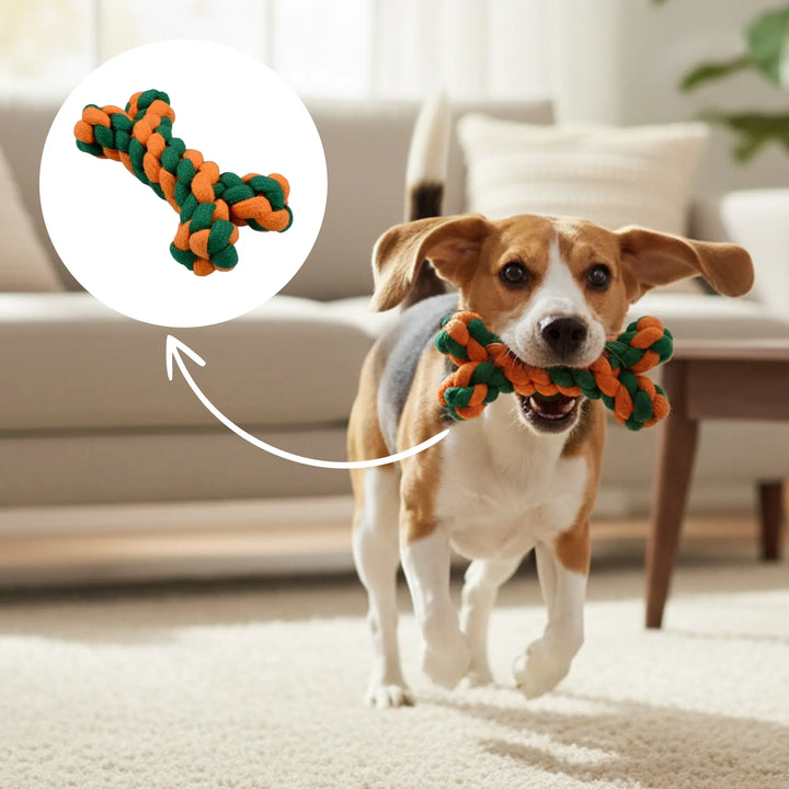 Bone Rope Toy