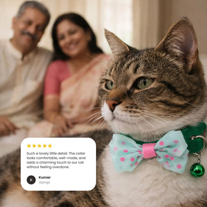 Bow Cat Collar