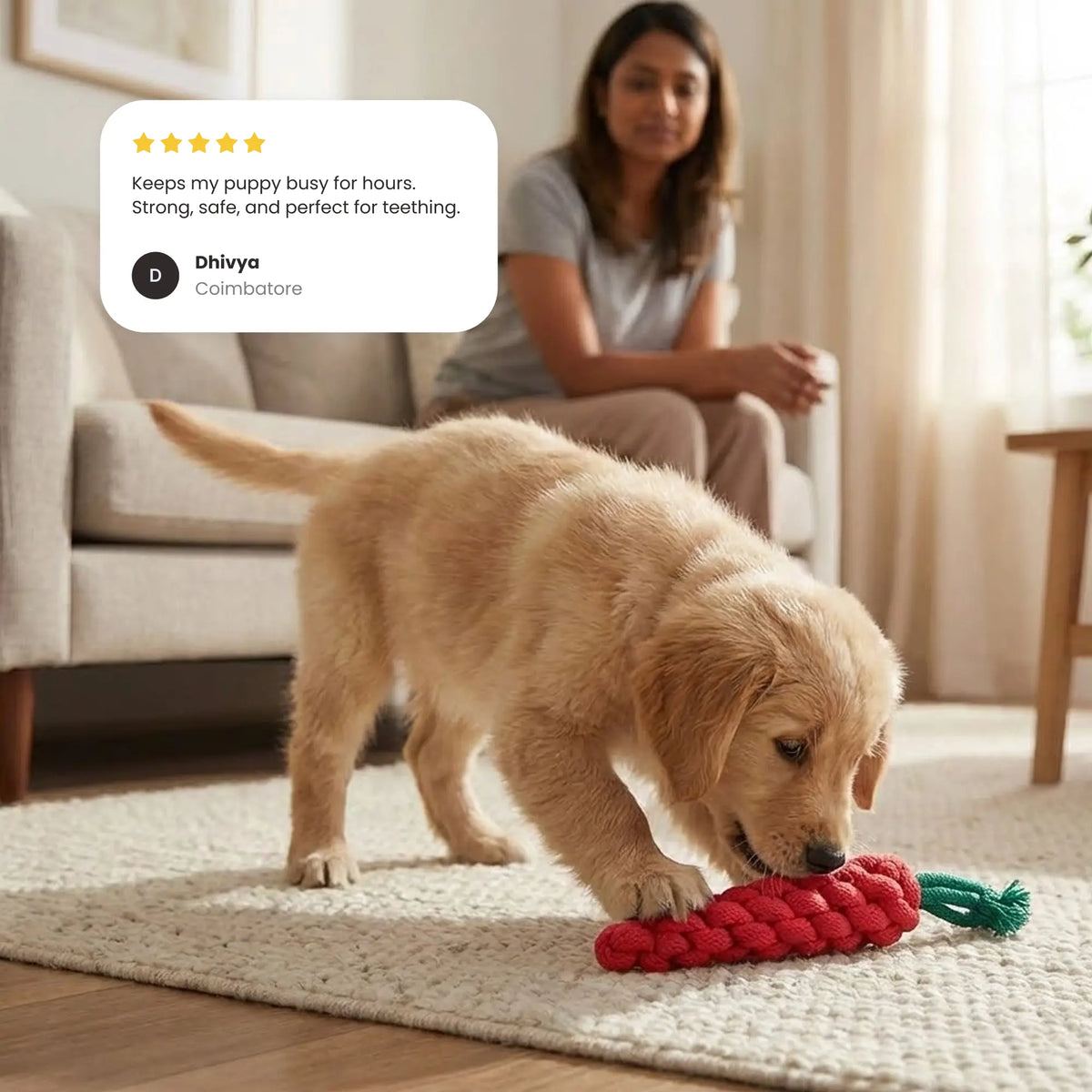 Carrot Rope Toy
