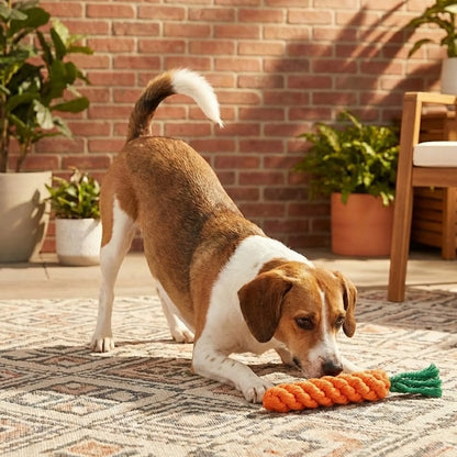 Carrot Rope Toy