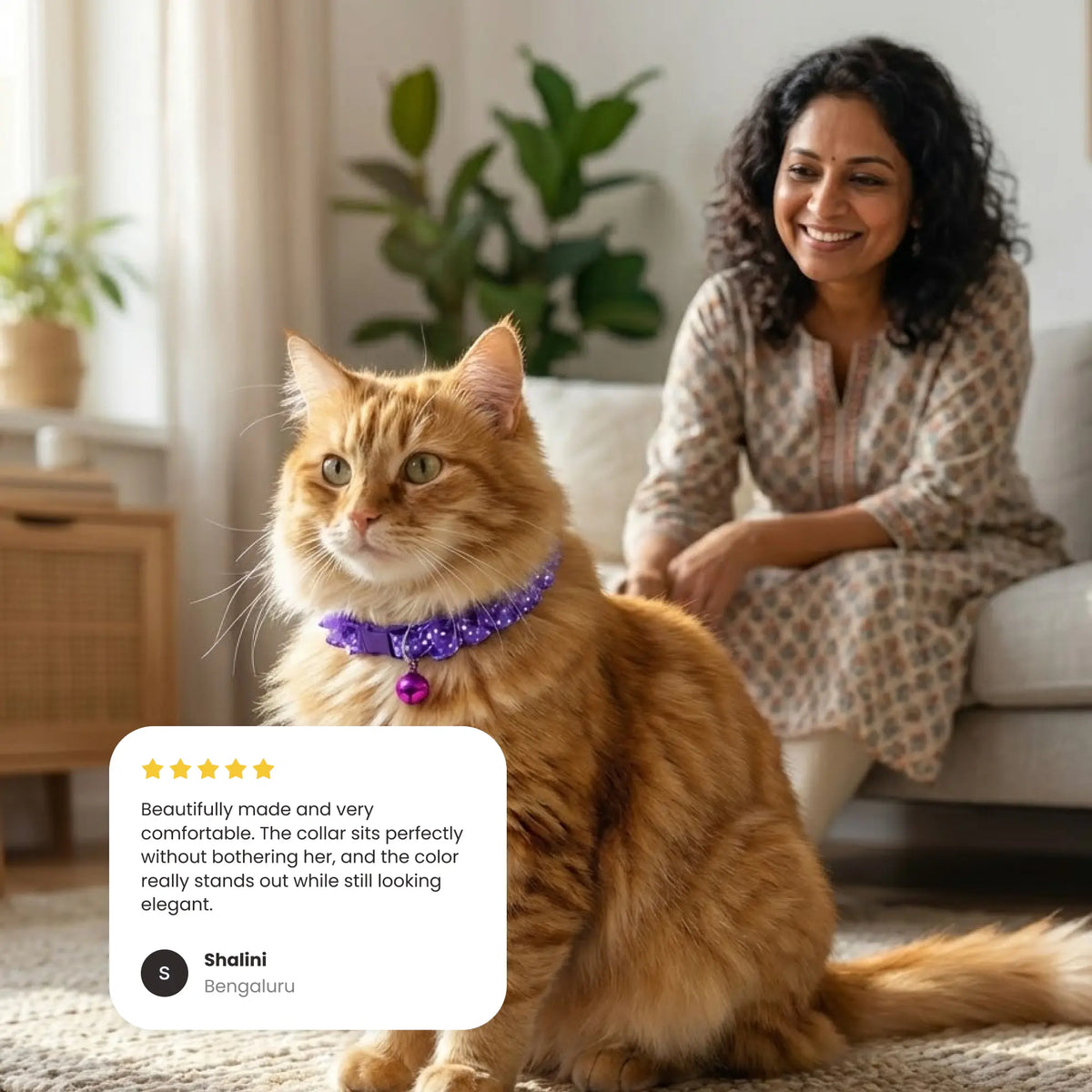 Cat Fancy Collar