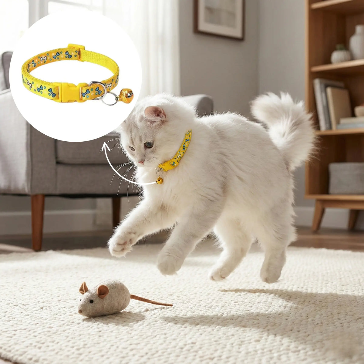 Cat Collar