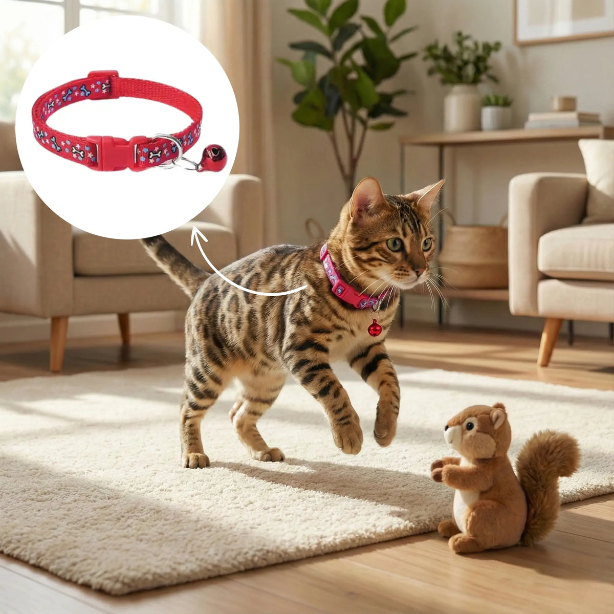 Cat Collar