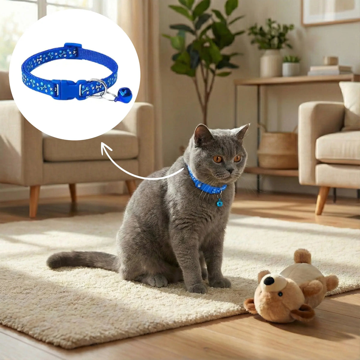 Cat Collar