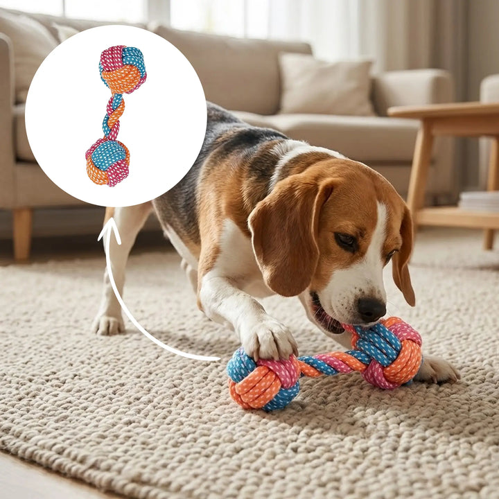 Dumbell Rope Toy