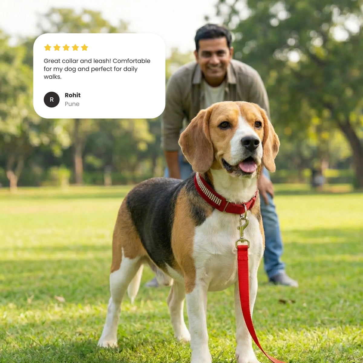Furry Padded Dog Collar