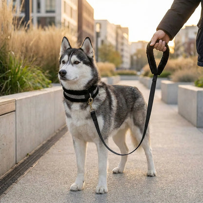 Furry Padded Dog Collar