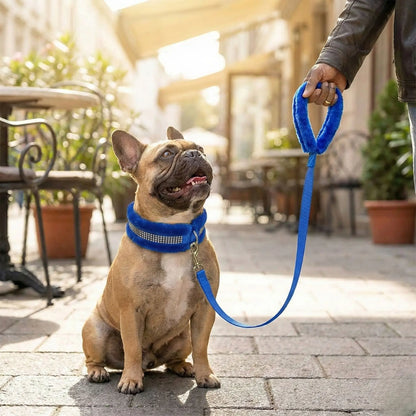 Furry Padded Dog Collar