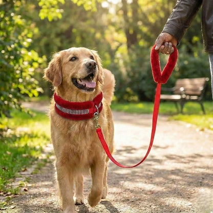 Furry Padded Dog Collar