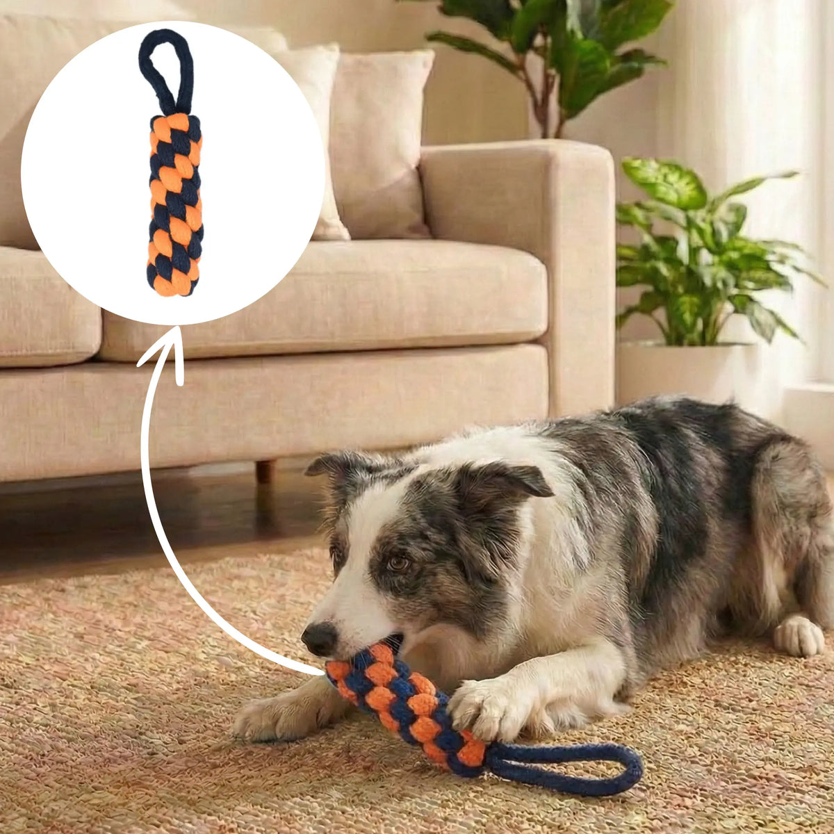 Hook Rope Toy