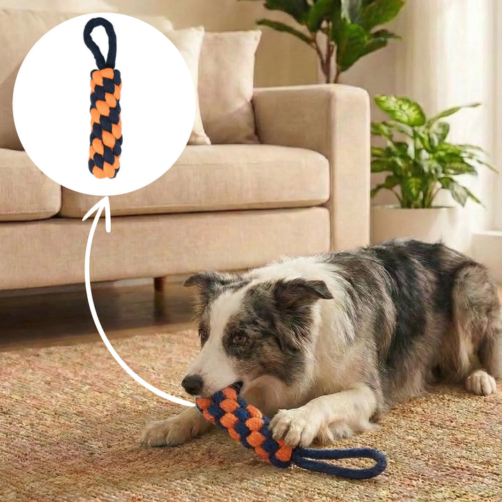 Hook Rope Toy
