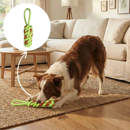 Hook Rope Toy
