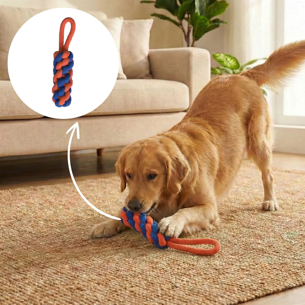 Hook Rope Toy