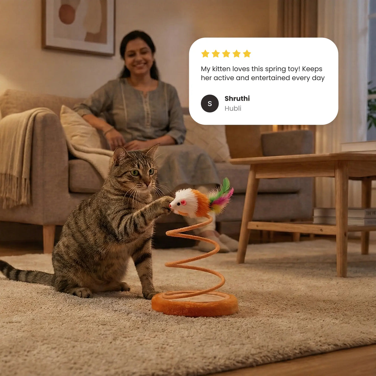 Coil Bouncy Cat Spring Toy