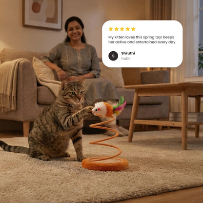 Coil Bouncy Cat Spring Toy