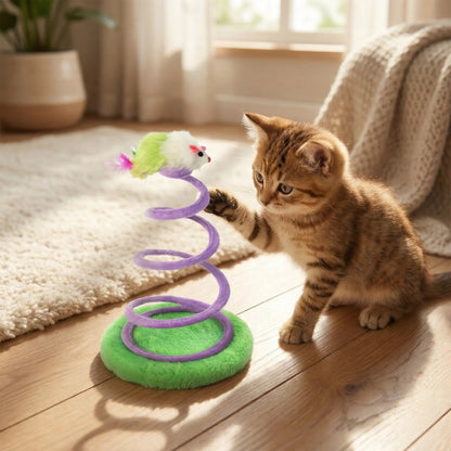Coil Bouncy Cat Spring Toy