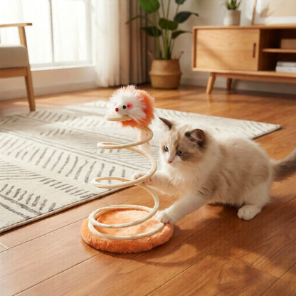Coil Bouncy Cat Spring Toy