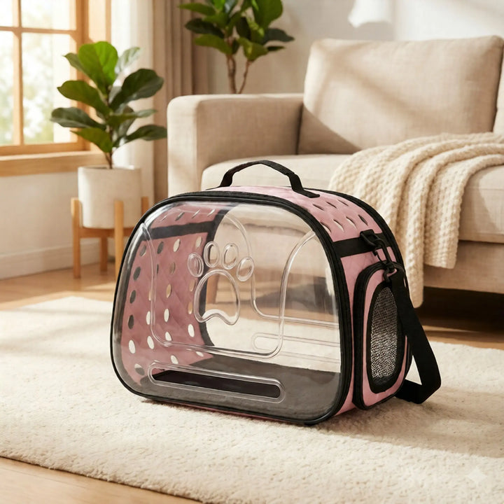 Transparent Cat Carrier