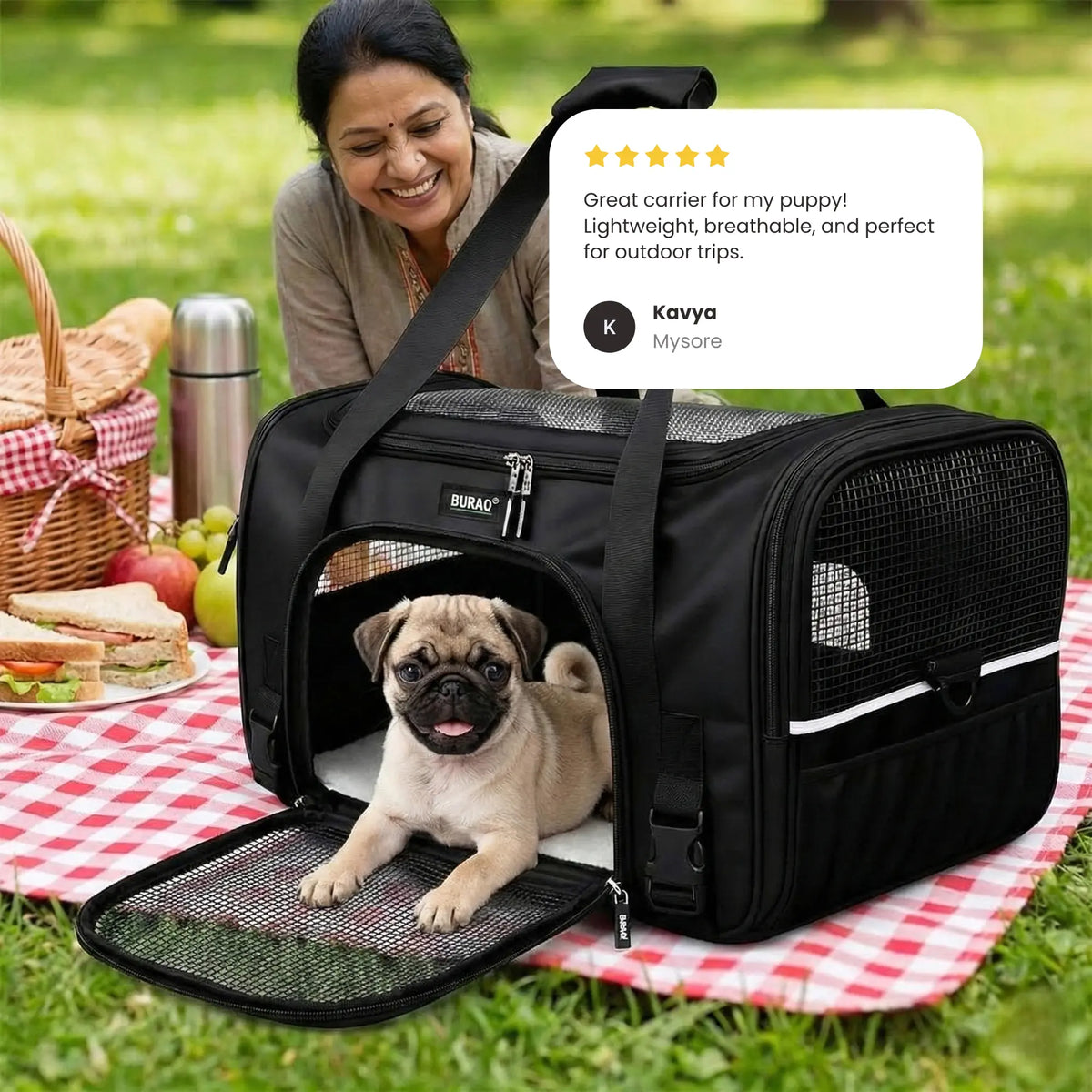 Transparent Pet Carrier