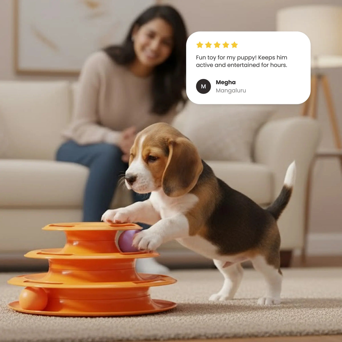 Indoor Cats Turntable Toy Fun Roller