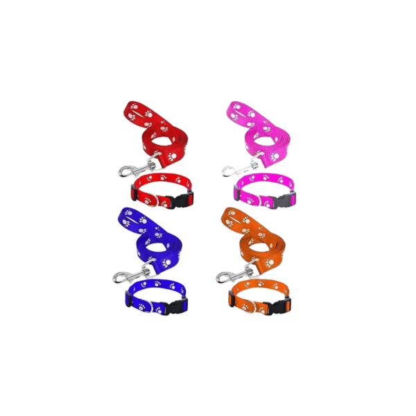 Print Collar & Leash - Image 2