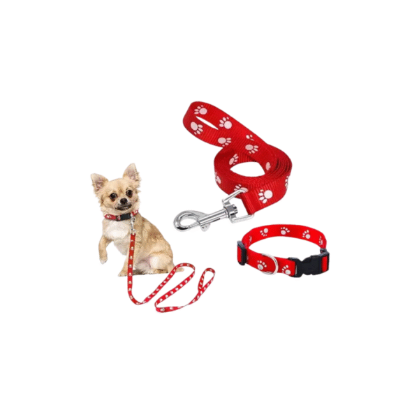 Print Collar & Leash - Image 3