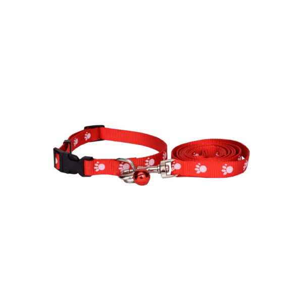 Print Collar & Leash - Image 4