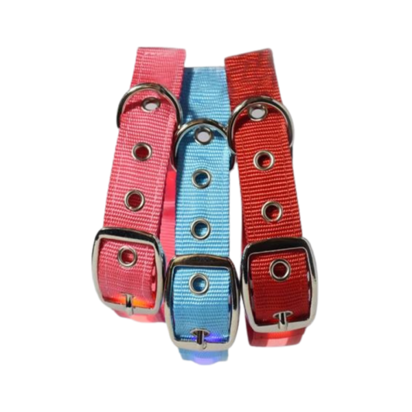 LED Pet Collar