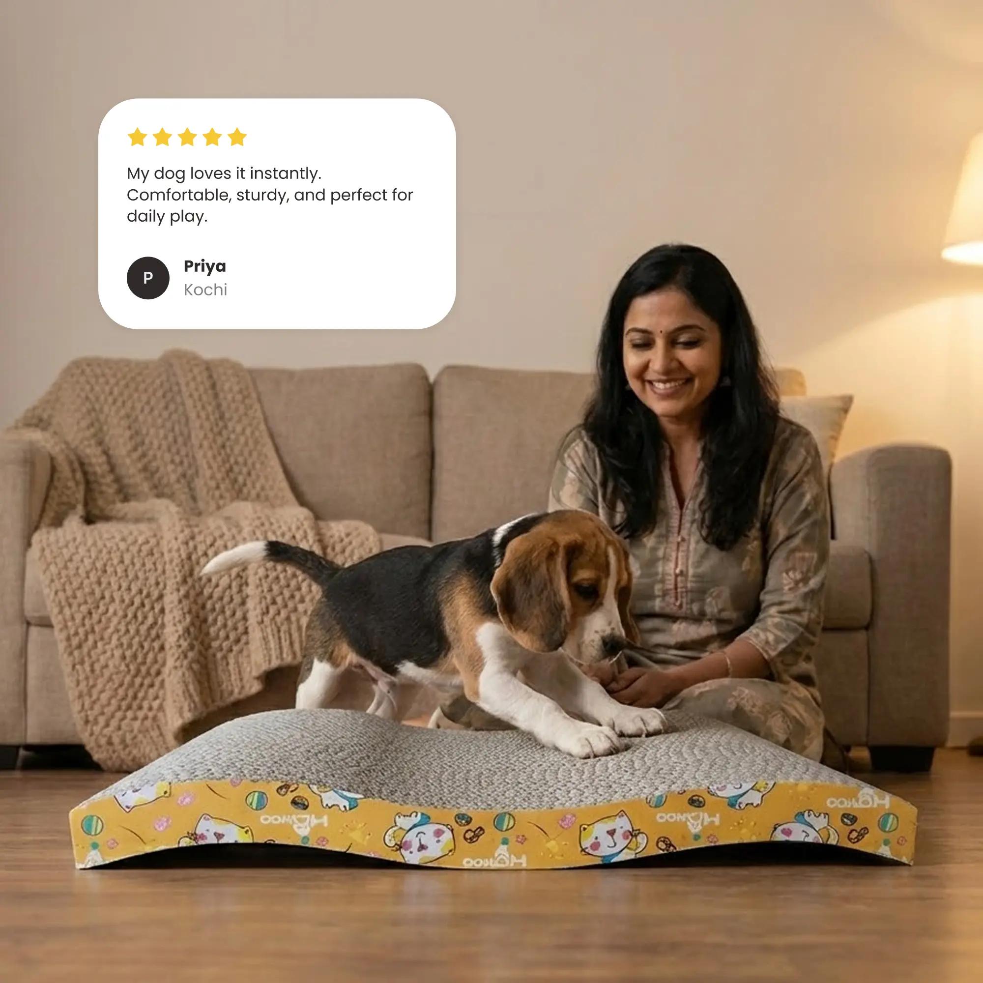 Corrugated Scratcher 01