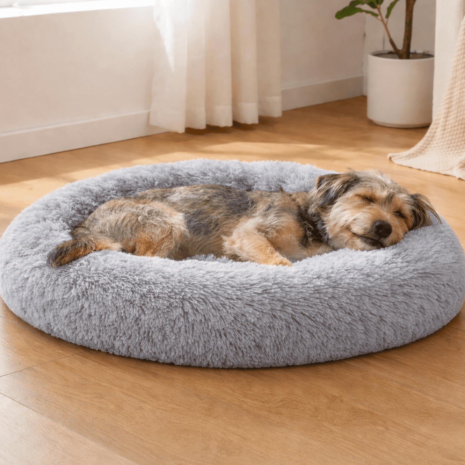 Donut Slumber Cat and Dog Bed