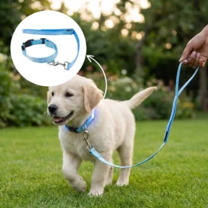 LED Pet Leash