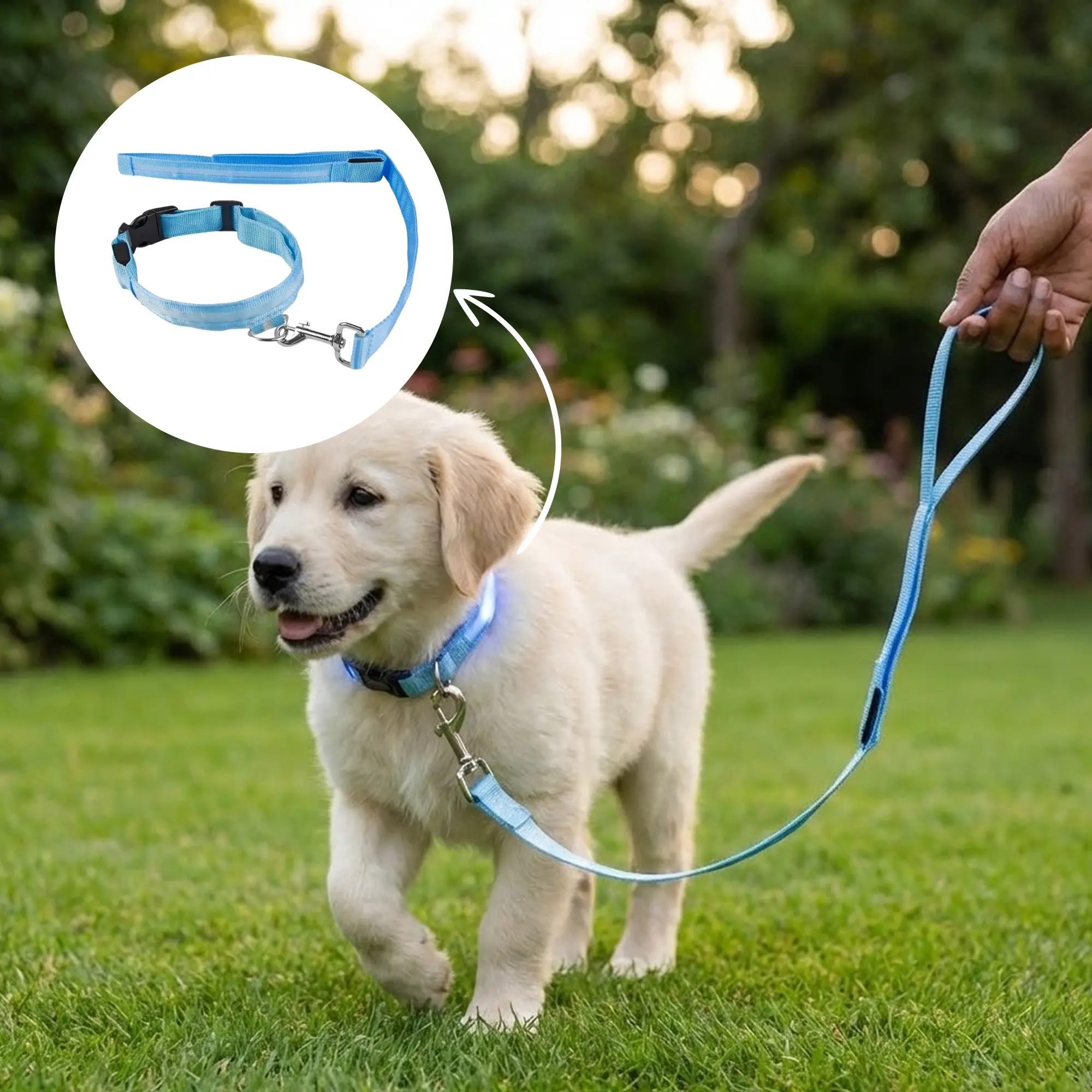 LED Pet Leash