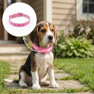 LED Pet Collar 03