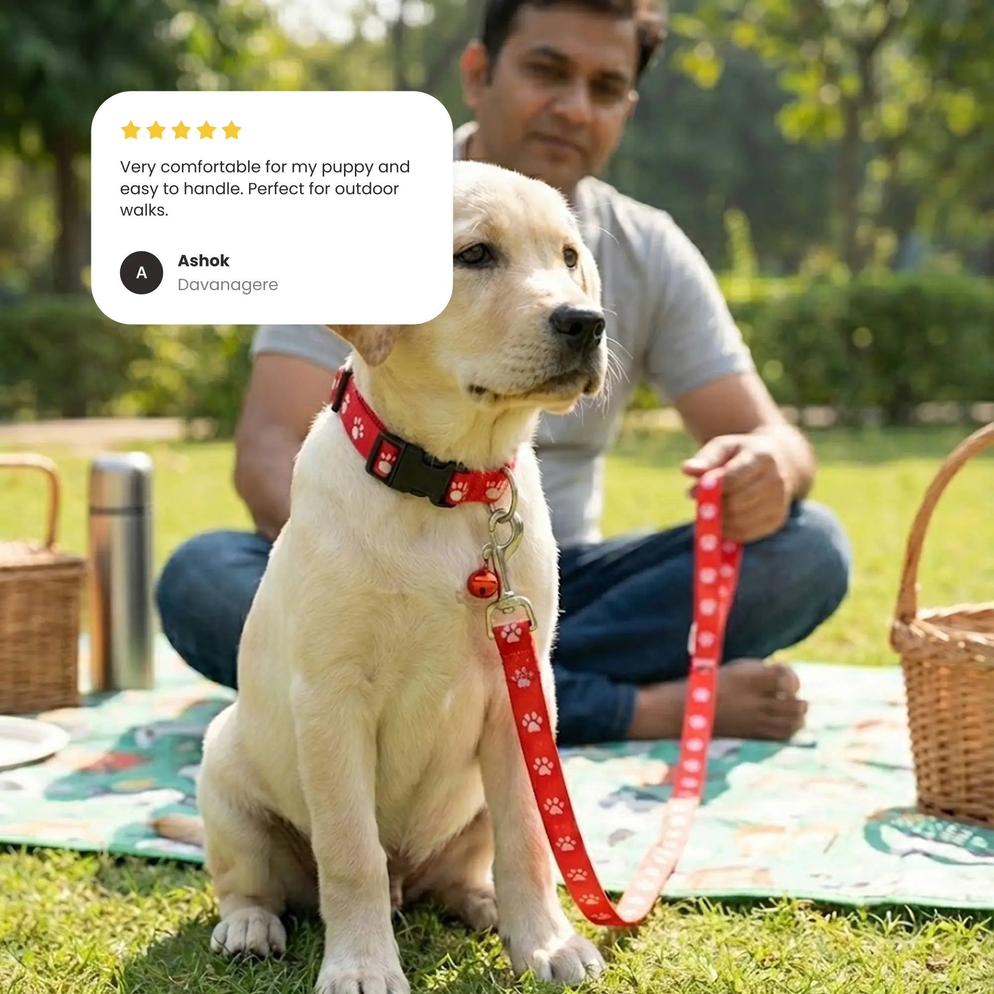 Print Collar & Leash 01