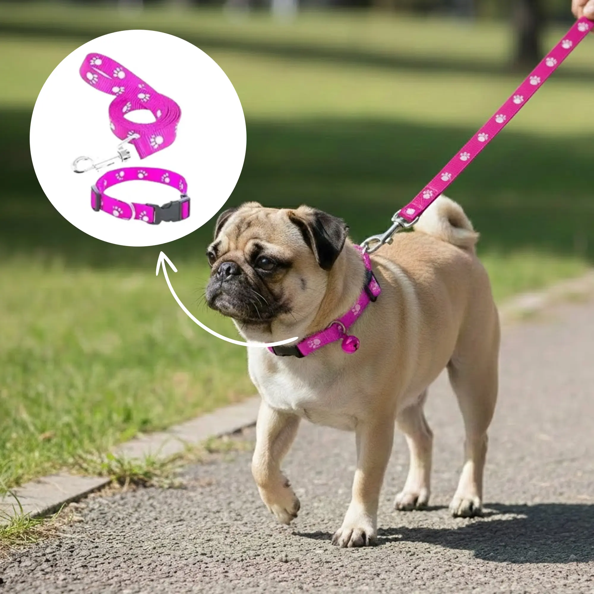 Print Collar & Leash 03