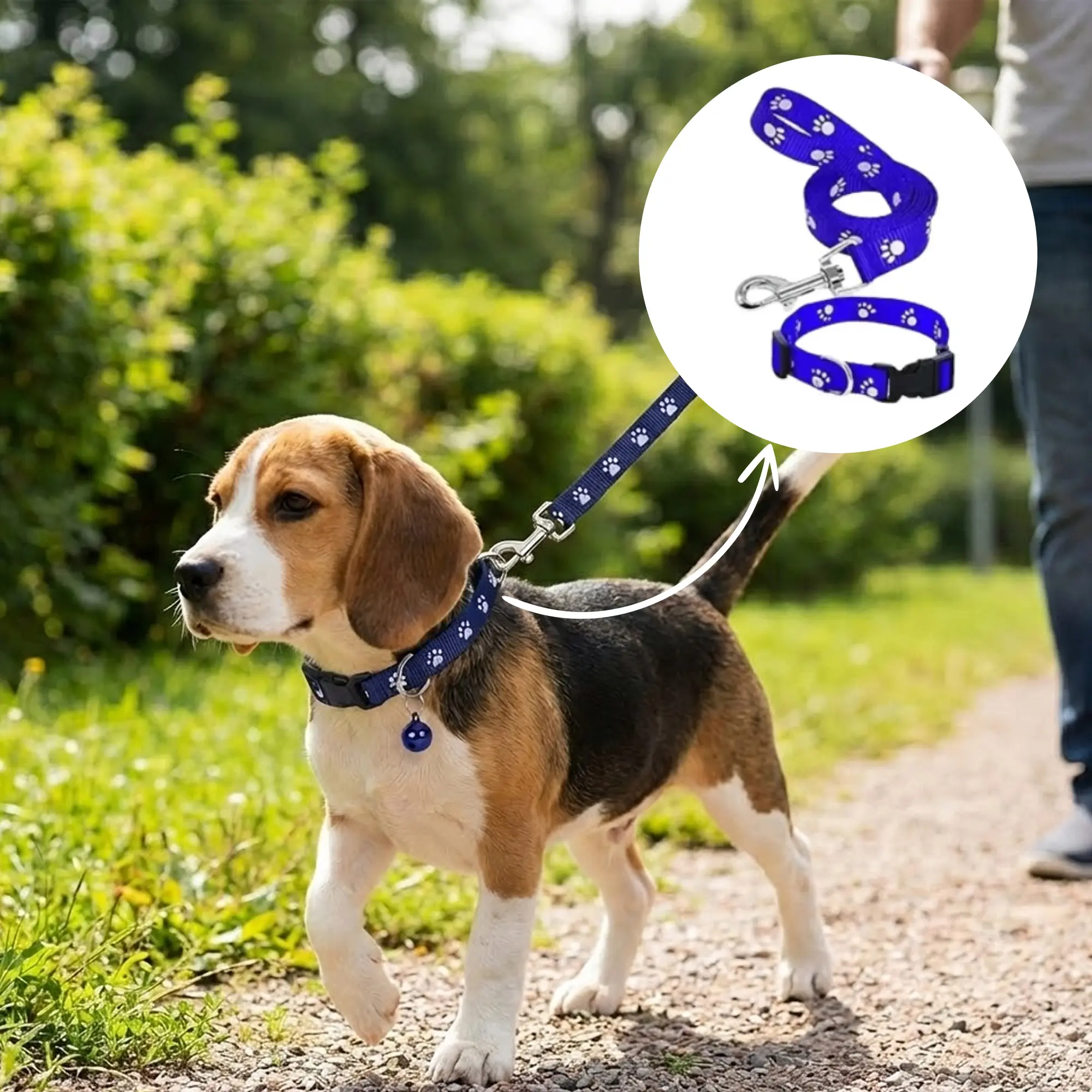 Print Collar & Leash 04