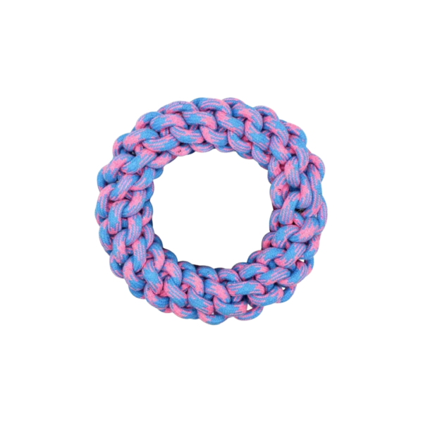 Braided Ring Toy