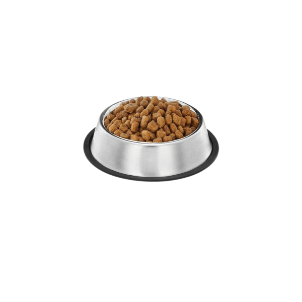 Metal Pet Bowl - Image 3