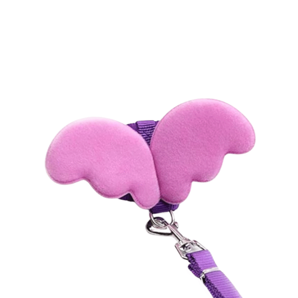 Butterfly Collar & Leash - Image 2
