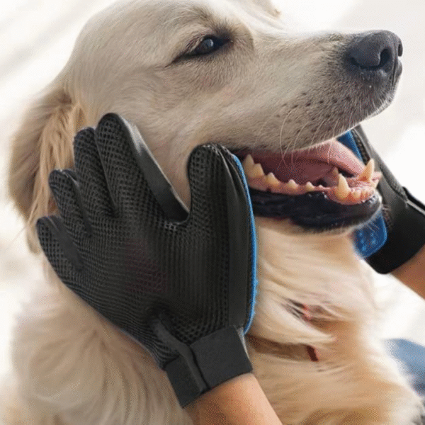 Pet Glove Brush (Single) - Image 3