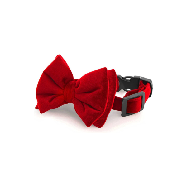 Dog Elegant Bow Collar