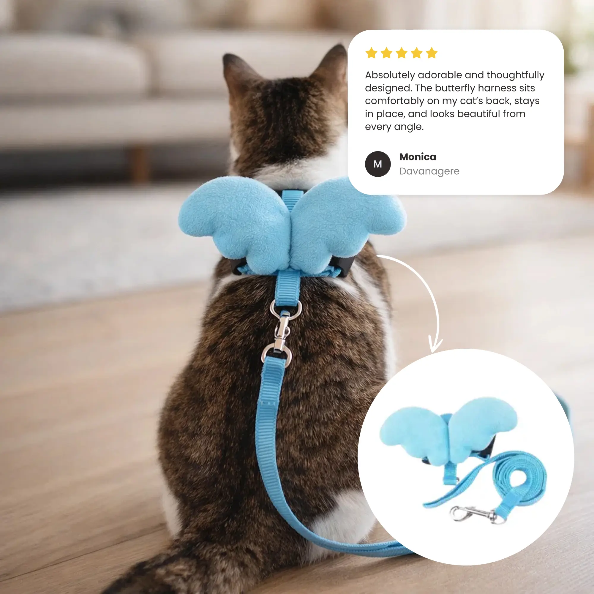 Butterfly Collar and Leash 01