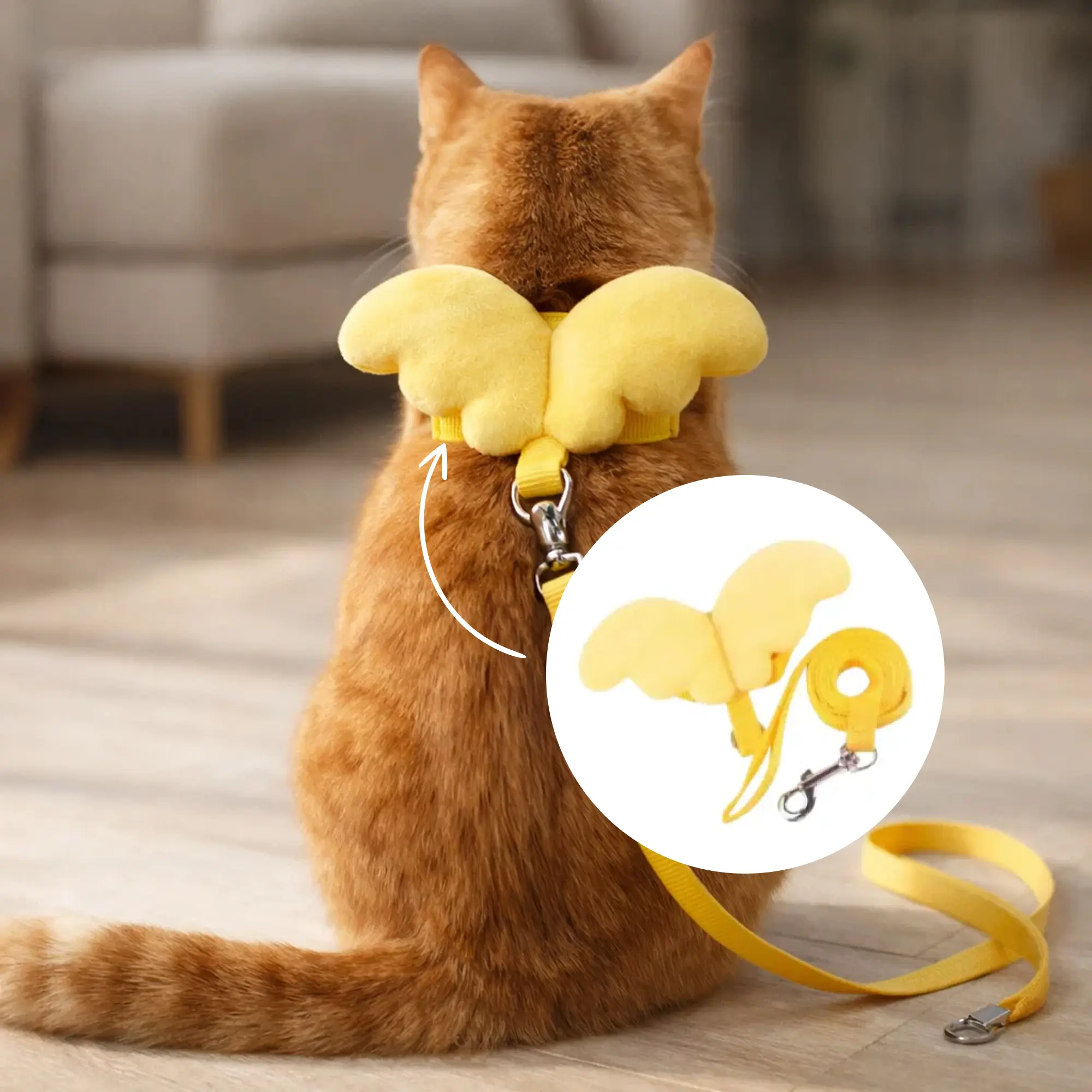 Butterfly Collar and Leash 03