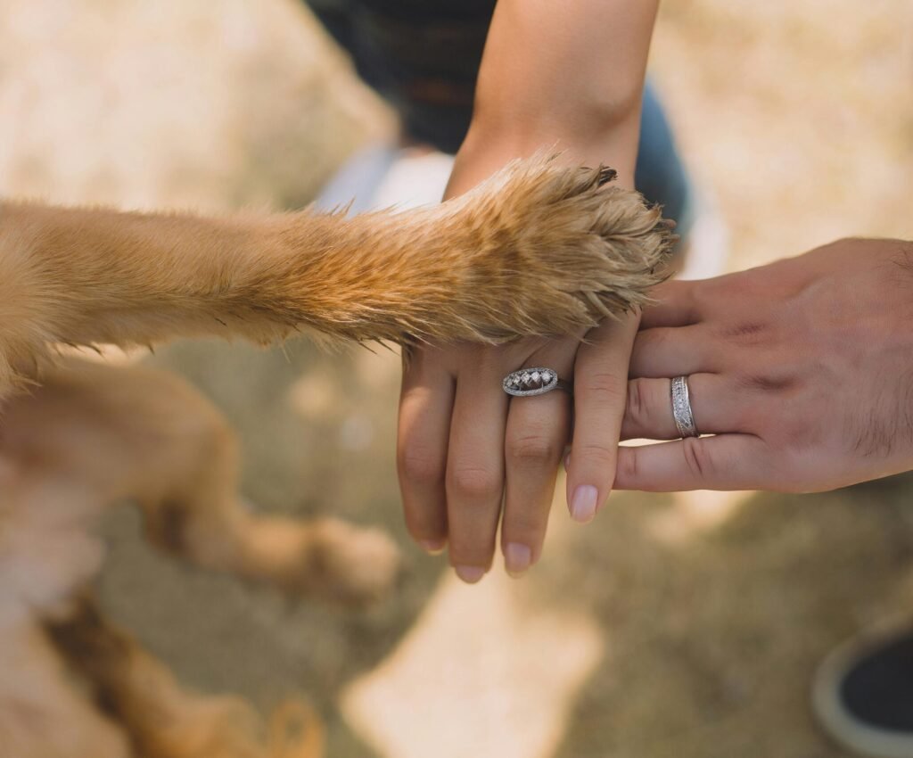 A close-up of hands and a dog's paw displaying unity and love outdoors.