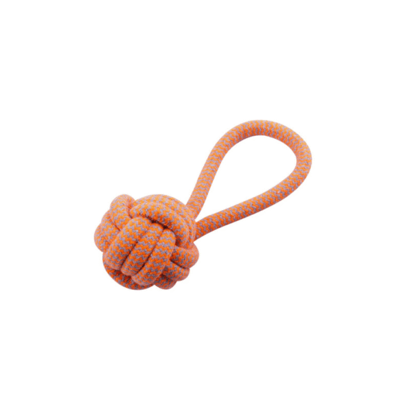Hoop Ball Rope Toy - Image 2