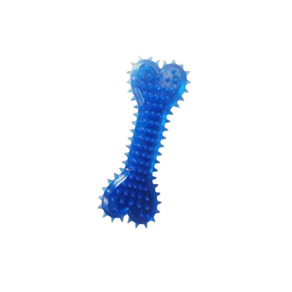 Transparent Bone Toy - Image 2