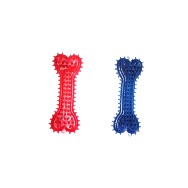 Transparent Bone Toy - Image 4