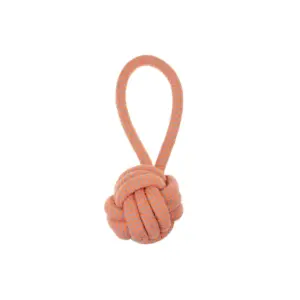 Hoop Ball Rope Toy